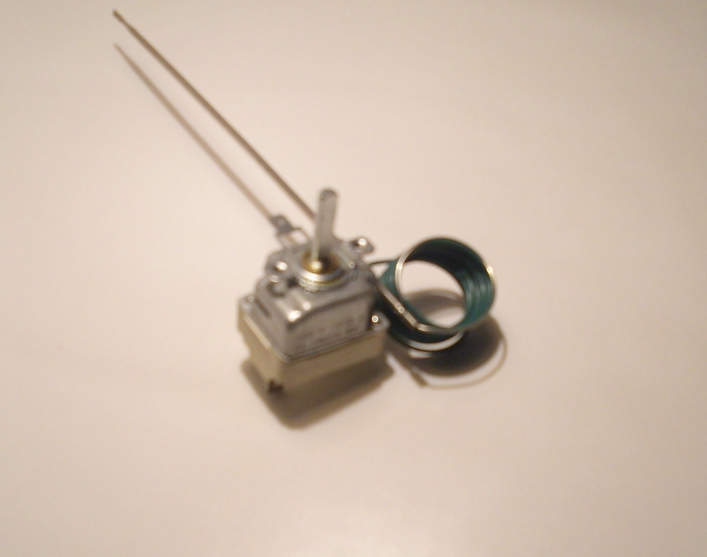 Termostat 50-300 55.19069.831