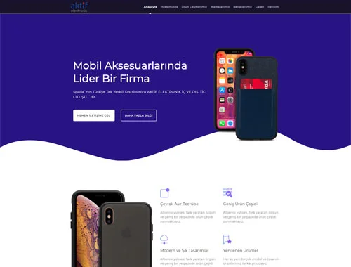 Elektronik Web Tasarım