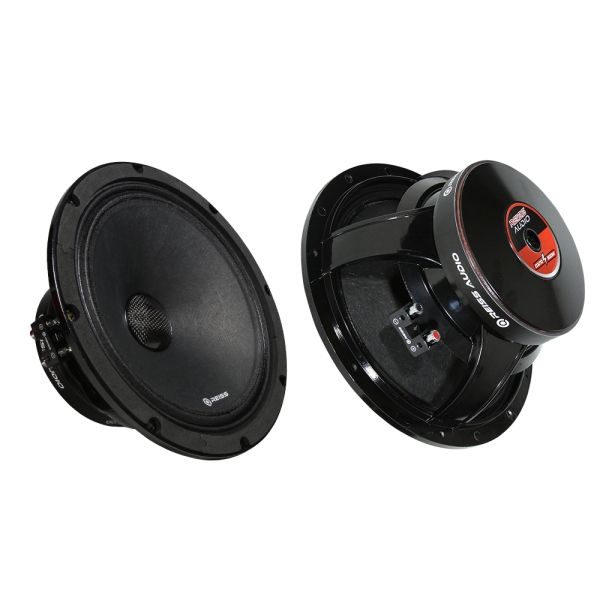 REISS AUDIO RS-COLT10 25CM MIDRANGE HOPARLÖR