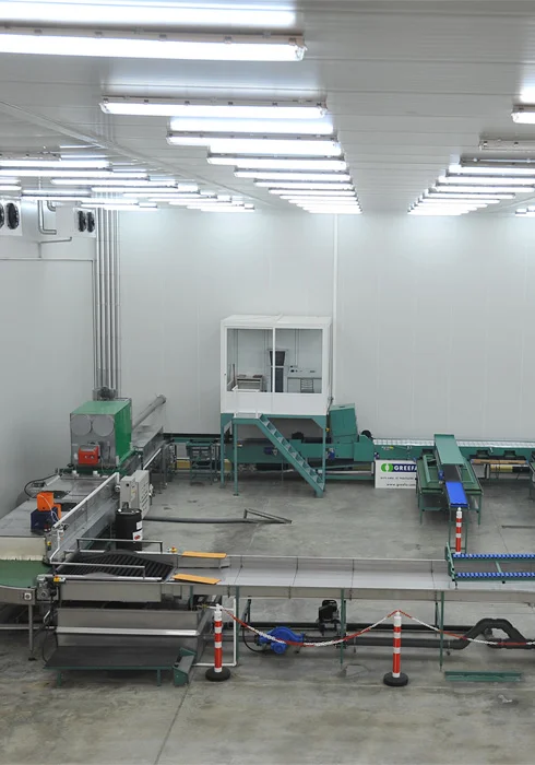 Karfrut Paketleme Tesisi