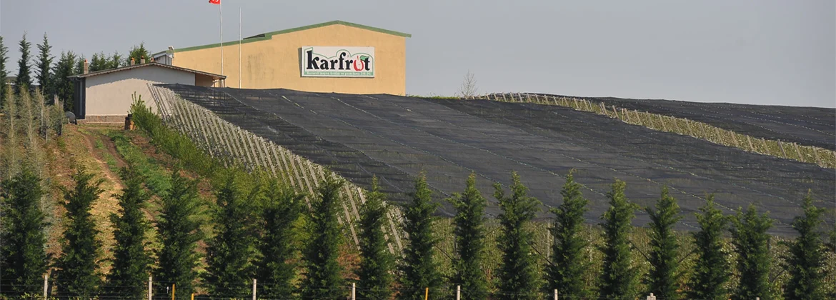 Karfrut Meyve Üretim ve Pazarlama