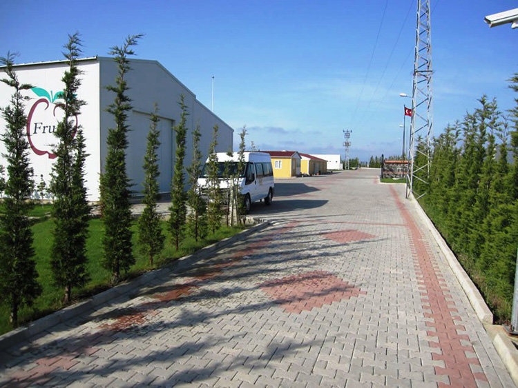 Fruti Tesisleri