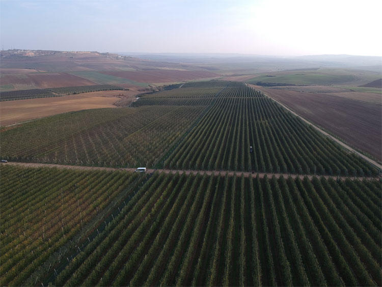 karfrut üretim tesisleri