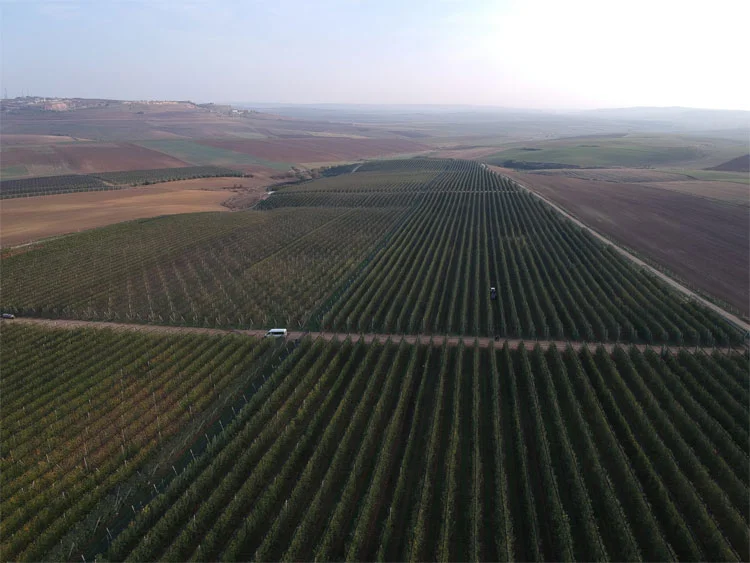 karfrut üretim tesisleri