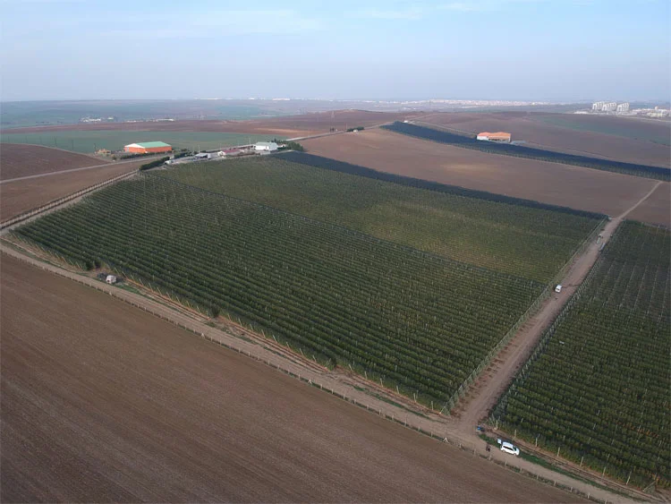 karfrut üretim tesisleri