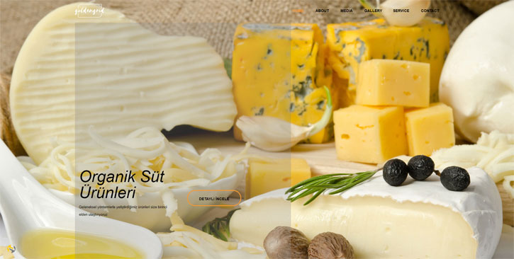 Organik Ürünler Web Sitesi