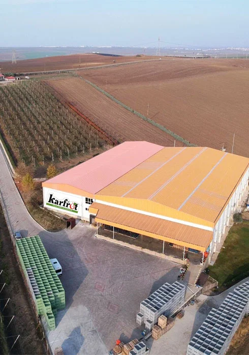 Karfrut Dağıtım Tesisi