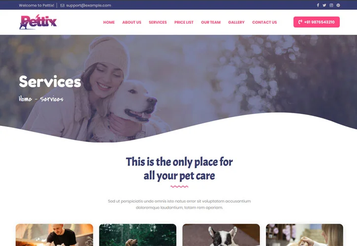 Kurumsal Web Tasarımı
