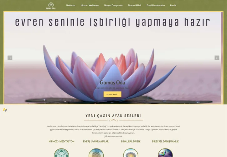 Özel Web Tasarım