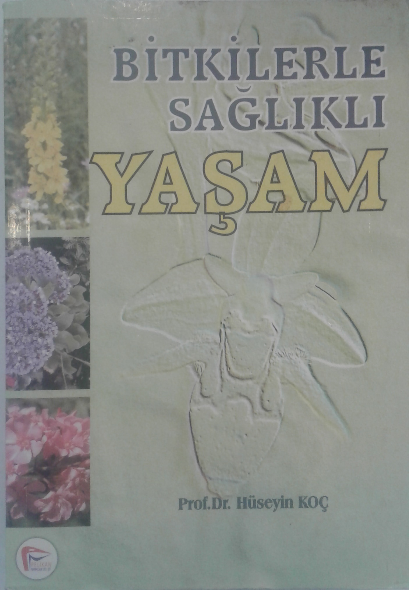 Bitkilerle Sağlıklı Yaşam