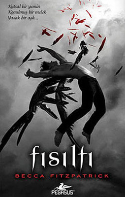 Fısıltı - Çığlık - Sessizlik - Final (4 kitap takım)