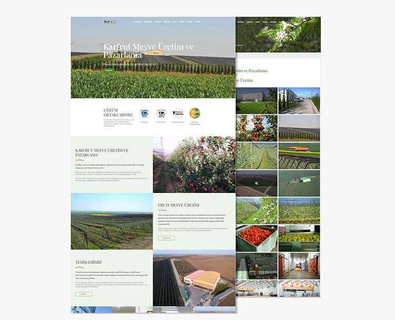 Karfrut Web Tasarım