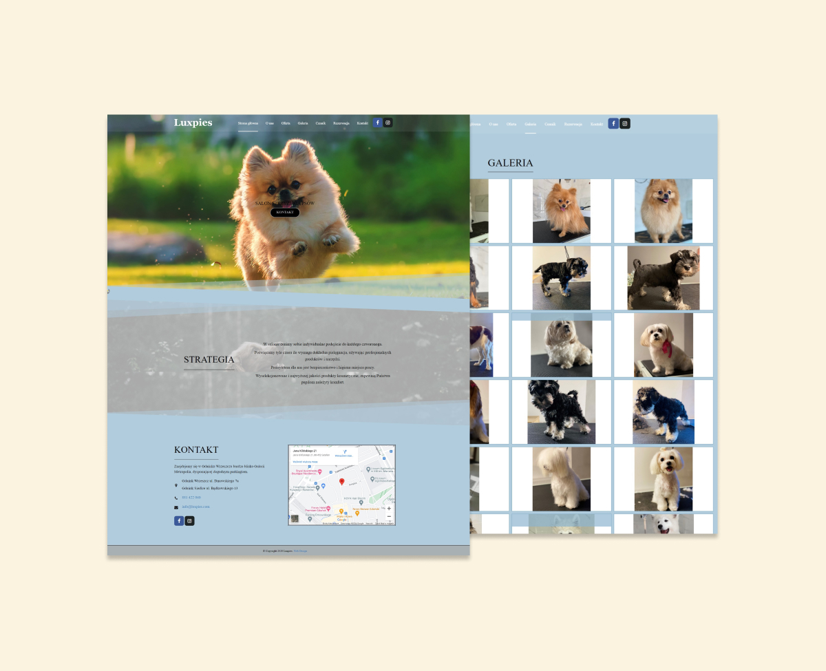 Luxpies Web Tasarım