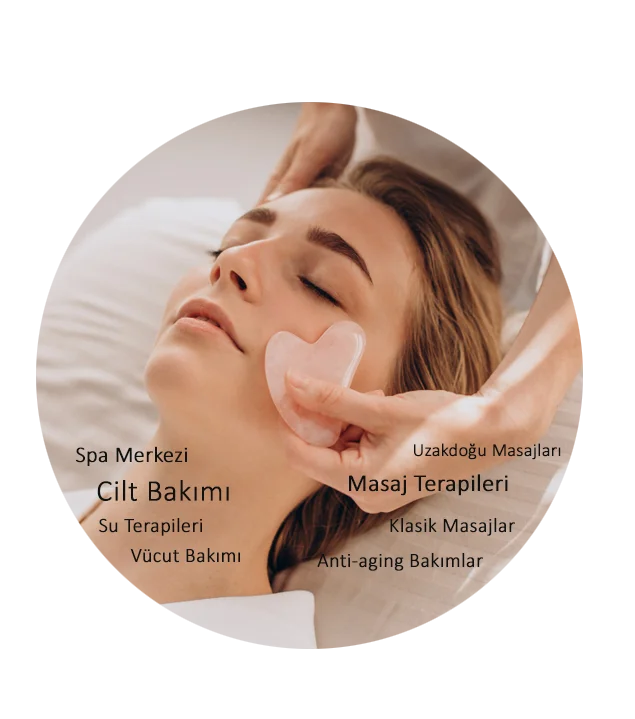 spa merkezi web tasarım