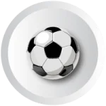 Web Management Services