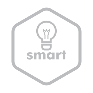 smart